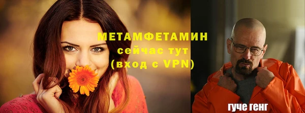крисы Верхний Тагил