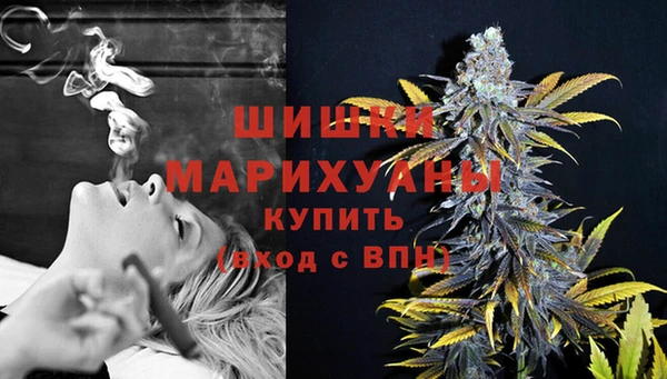 крисы Верхний Тагил