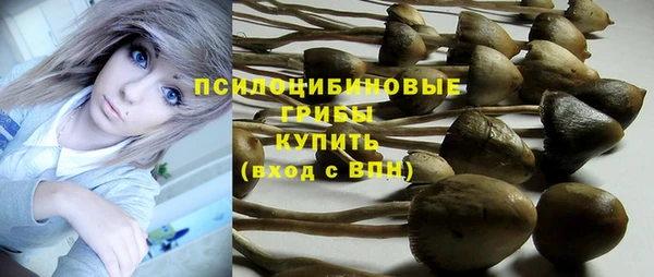 крисы Верхний Тагил