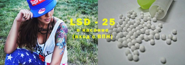 крисы Верхний Тагил